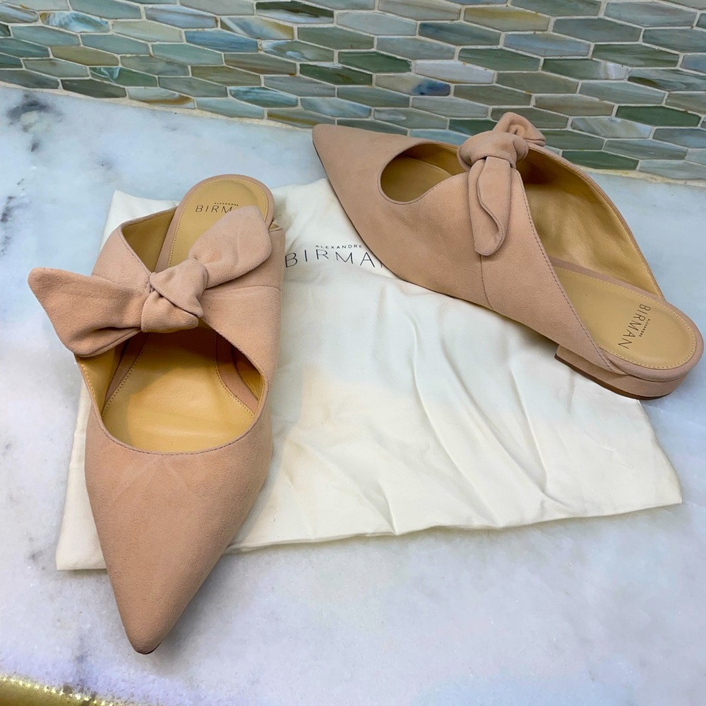 Alexander Birman Evelyn Suede Mule Size 38